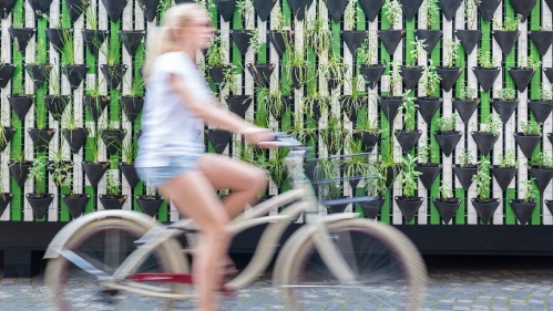 Frau fährt Fahrrad vor einem vertikalen Beet (Foto: Matej Kastelic/shutterstock)